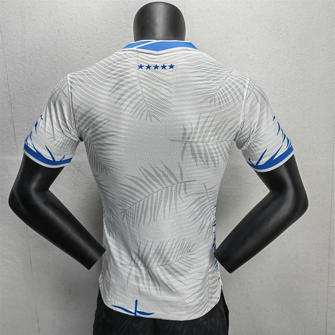 SPECIAL EDITION Brazil