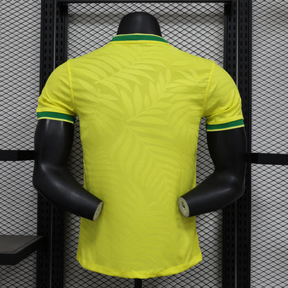 SPECIAL EDITION Brazil