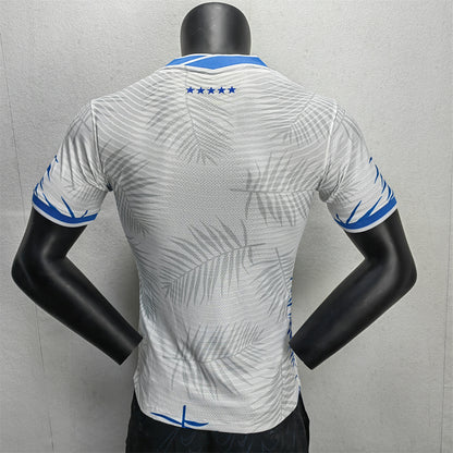 SPECIAL EDITION Brazil